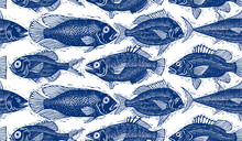 Seamless Vector Sea Pattern, Different Fish Silhouettes. 
