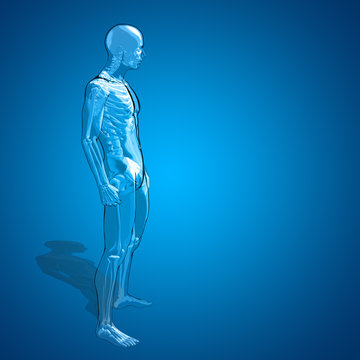 Concept or conceptual 3D human man skeleton anatomy