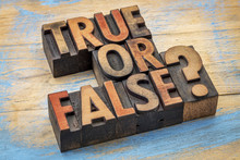 True Or False Question In Wood Type