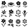 Nasturtium, primula, lily, viola, anemone, crocus, cornflower, blue poppy, orchid, flower set. Spring and summer flowers. Floral black symbols with leaves. May be used in cuisine. Vector isolated. 