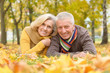 © aletia2011 - Senior couple in autumn park