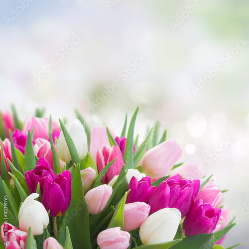 Naklejka na szybę bouquet of pink, purple and white tulips