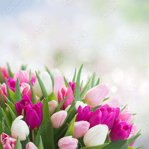 Plakat na zamówienie bouquet of pink, purple and white tulips