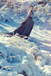 The Snow Queen. Winter day. Luxurious dress. The girl in the snow. Black earrings.