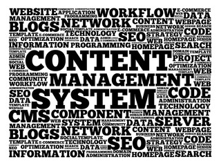 Poster - CMS Content Management System word cloud, business concept background
