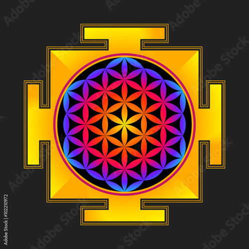 Fotomural colored flower of life yantra illustration.