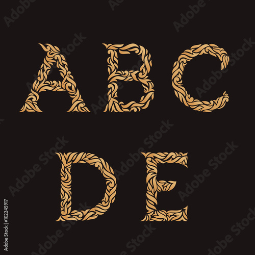 Decorative Initial Letters A B C D E Vector