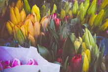 Retro Dark Washed Out Colors Vintage Edit Of Colorful Tulips Bouquetes. Instagram Style Edit With Artistic Strong Contrast And A Strong Vignette.