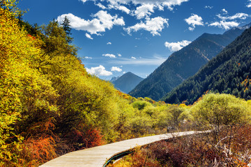 Wall Mural - Wooden boardwalk across autumn forest among wooded mountains