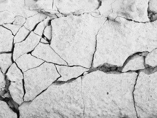 Poster - Background of dry cracked soil dirt or earth during drought