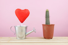 The Red Foiled Chocolate Heart Stick With Small Silver Watering Can And Little Green Cactus In Small Brown Plant Pot For Valentine's Day.