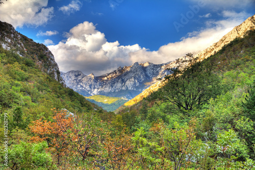 Fotografie, Obraz Vibrant mountain valley in the mountains of Velebit national park in Croatia