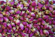 Dried Pink Rose Buds Background