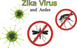 Zika virus and mosquitoes
