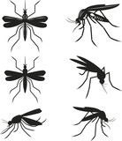 Fototapeta Na sufit - Set mosquitoes