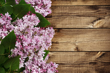 Branches Of Lilac Flowers On Wood