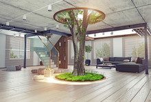 Real Living Tree Indoor Concept