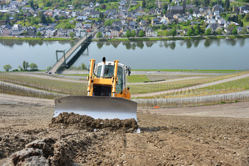 Planierraupe, Weinberg, Steillage, Planierarbeiten, Terrassen, Weinanbau, Mosel, Weinbau, Hanglage, Steilhang, Driesche, Wein, Berg, Bulldozer, Rheinland-Pfalz, Wehlen