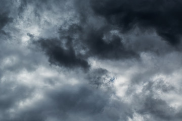 Wall Mural - dark clouds before a thunder-storm