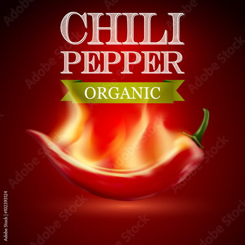 Obraz w ramie Red hot chili pepper on a red background. Vector illustration.