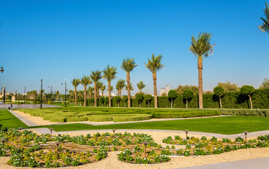 Poster - Garden near Zabeel Palace in Dubai, UAE