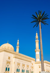 Canvas Print - View of Zabeel Mosque in Dubai, UAE