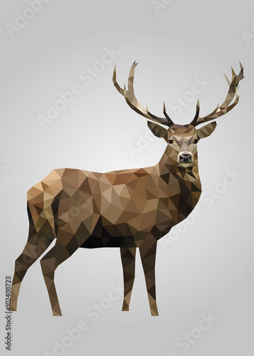 Fotografía Deer animal standing and looking vector