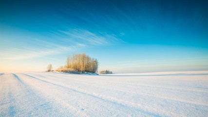 Wall Mural - Winter snowy field landscape