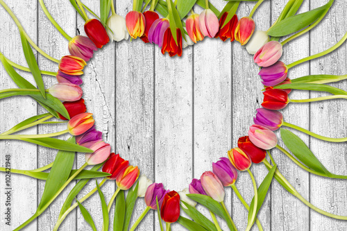 tulipany-w-ksztalcie-serca