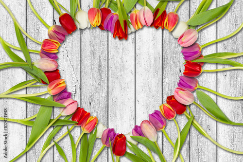 Naklejka - mata magnetyczna na lodówkę heart shaped out of tulips on white wooden background