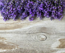 Fresh Lavender Flowers On A Wooden Background. Decorative Border Or Frame With Lavander And Old Wooden Plank. Photo Above.
