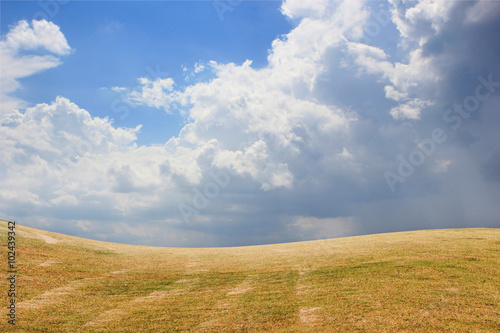 Fototapeta na wymiar Green meadow under blue sky with clouds.
