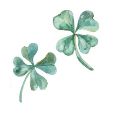 Watercolor Clover. St. Patrick Day.