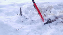 Lumberjack Axe In Snow