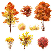 Set Of Autumn Trees And Bushes.