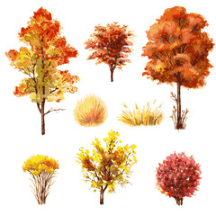 Wall Mural - Set of autumn trees and bushes.