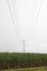 View along high voltage transmission line