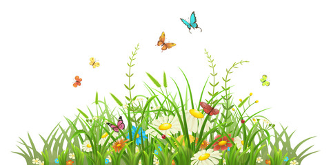 Wall Mural - Spring green grass with flowers and butterflies on white background