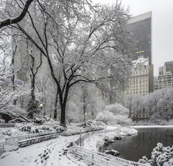  Central Park New York City, Manhattan during blizzard