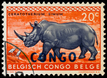Stamp Printed In Belgian Congo Shows Rhinoceros