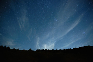 Wall Mural - blue dark night sky with stars.