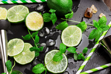 Canvas Print - Mojito cocktail and ingredients