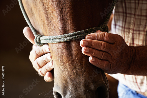 Fotografía Manos de los agricultores en caballo