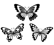 Set  Black White Butterflies Of A Tattoo