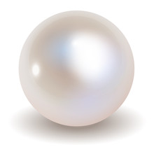 Pearl Vector On White Background.