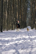 наездница, всадница, отважная молодая девушка, конный спорт, рысца, в заснеженном лесу, русская глубинка, русский лес
