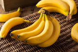 Raw Organic Bunch of Bananas