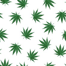 Ganja Weed Marijuana Seamless Vector Pattern On White Background