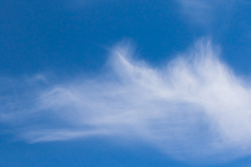 Wall Mural - clouds in blue sky