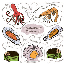 Hand Drawn Vector Collection Of Seafood Aphrodisiacs